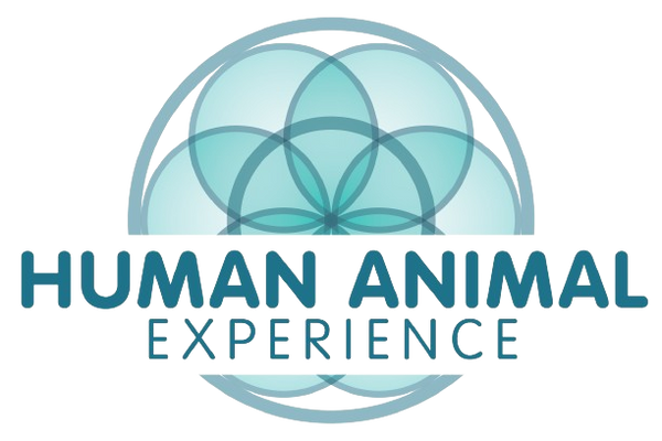 Human Animal Experience 